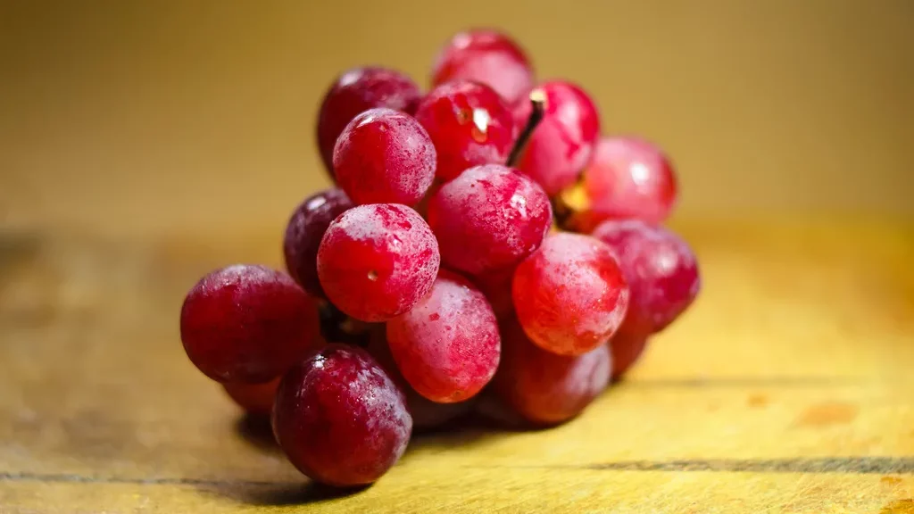 Anggur merupakan buah yang mengadung antioksidan yang tinggi