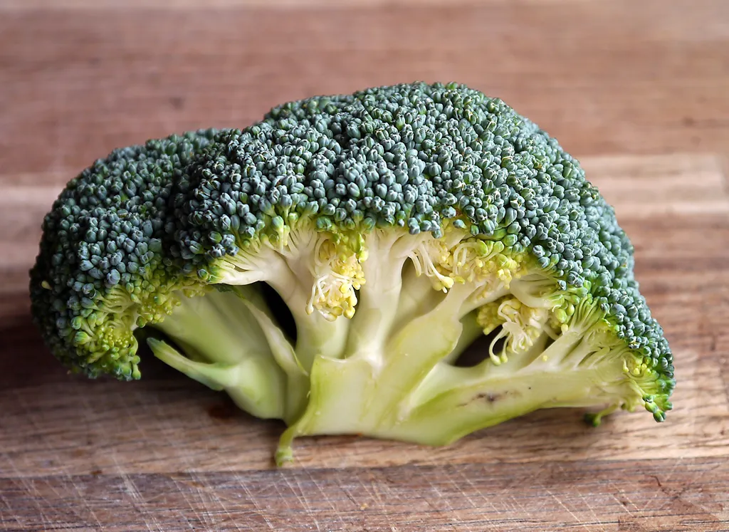 Brokoli memiliki kalsium yang baik untuk tubuh.