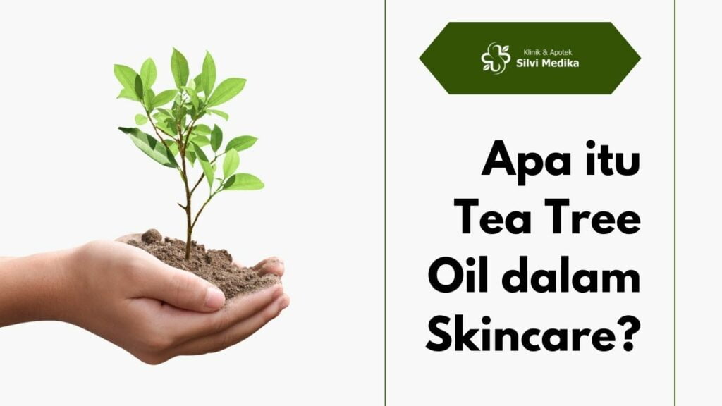 Apa itu Tea Tree Oil dalam Skincare