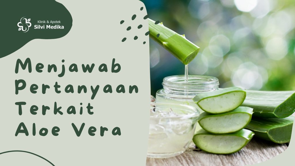 Menjawab Pertanyaan Terkait Aloe Vera