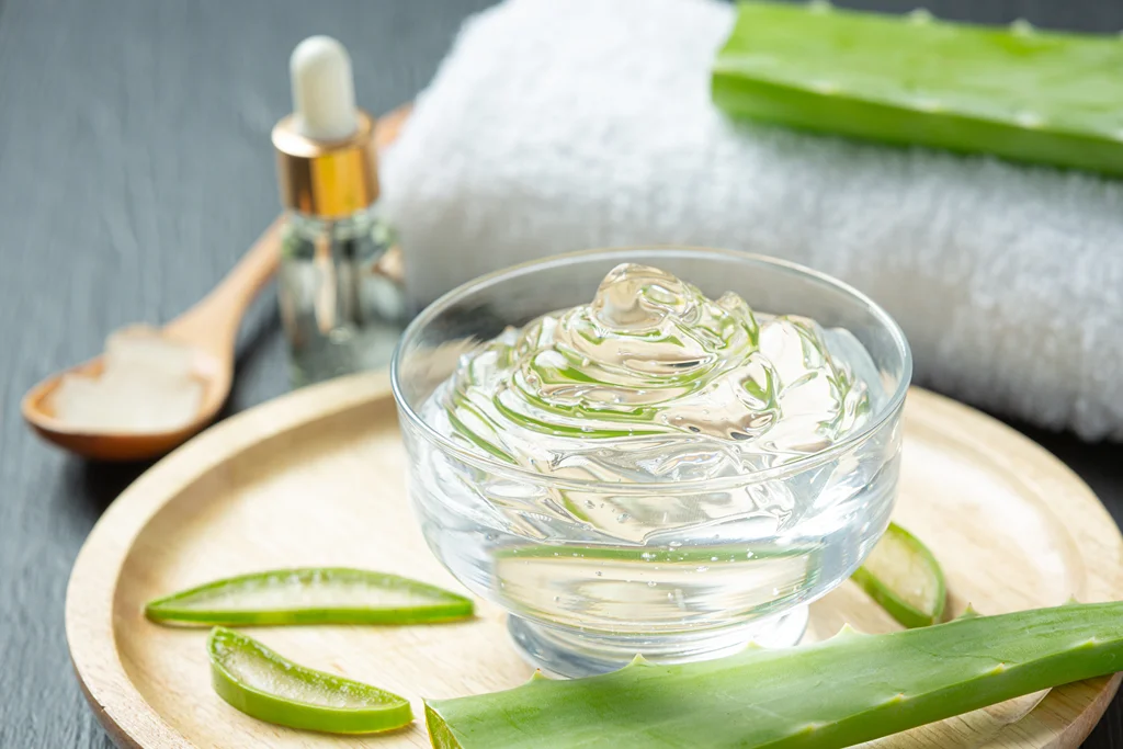 aloe vera mengandung banyak zat baik untuk kulit.